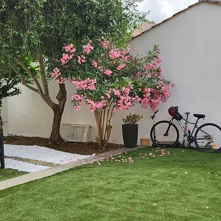 Villa Papillons Narbonne Centre Exterior photo